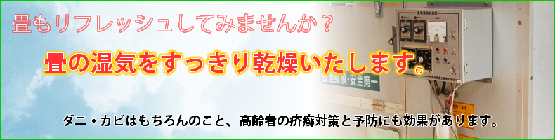 ������t���b�V�����Ă݂܂��񂩁H