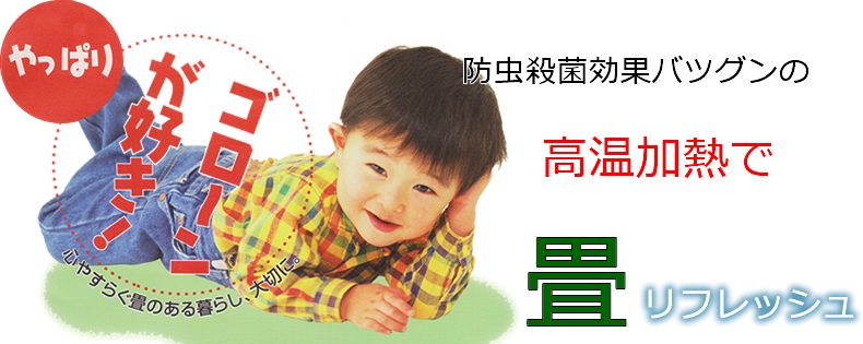 �h���E�ی��ʃo�c�O���̍������M�ŏ􃊃t���b�V��