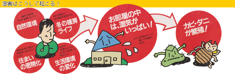 ���Q�͂������ċN����I